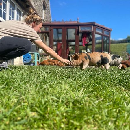 Ruby'S Retreat! Farm Stay! North Devon! Sleeps 6! Beaches Exmoor! Barnstaple Exterior foto