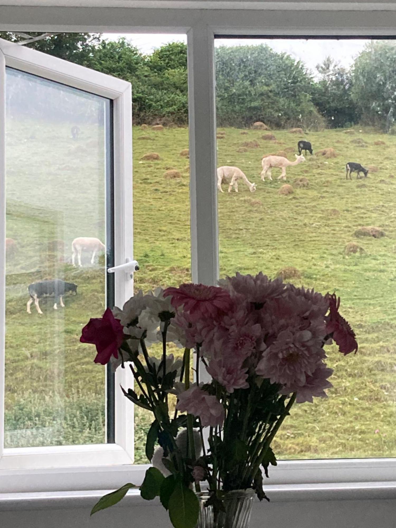 Ruby'S Retreat! Farm Stay! North Devon! Sleeps 6! Beaches Exmoor! Barnstaple Exterior foto