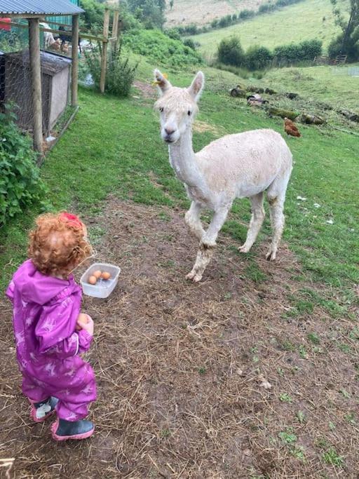 Ruby'S Retreat! Farm Stay! North Devon! Sleeps 6! Beaches Exmoor! Barnstaple Exterior foto