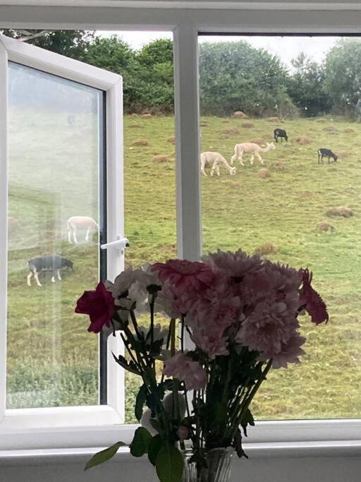 Ruby'S Retreat! Farm Stay! North Devon! Sleeps 6! Beaches Exmoor! Barnstaple Exterior foto